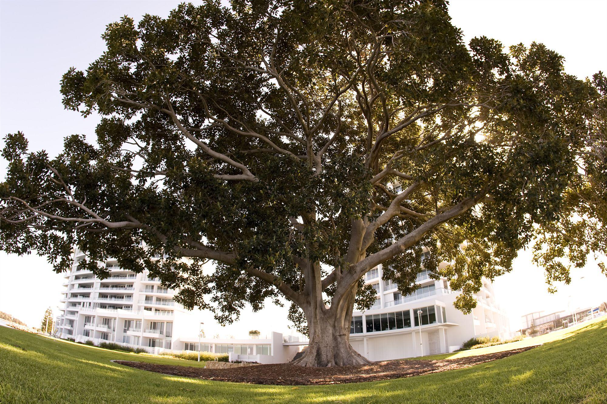 The Sebel Mandurah Hotel Bagian luar foto